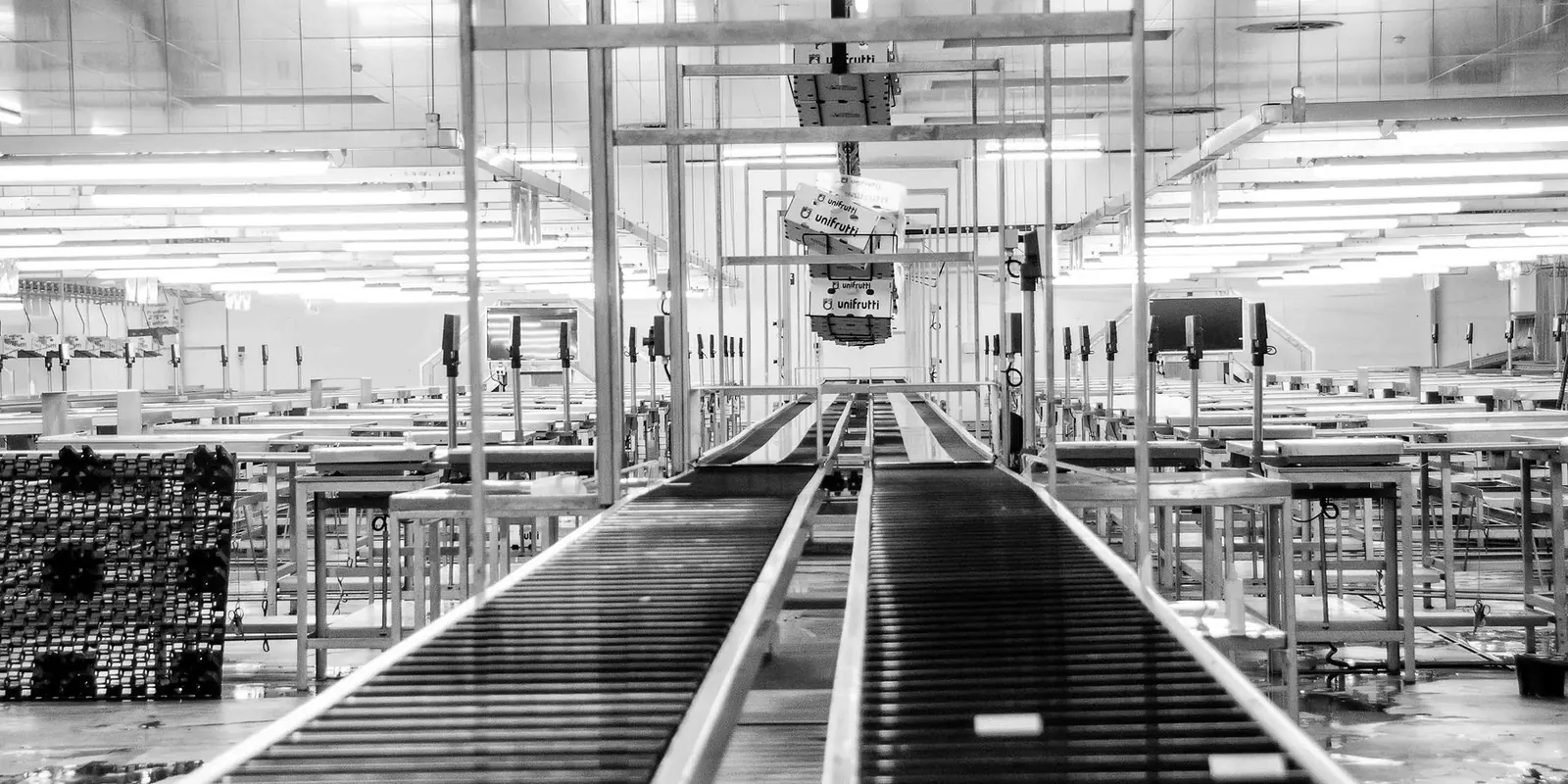 Manufacturing and Distribution operations